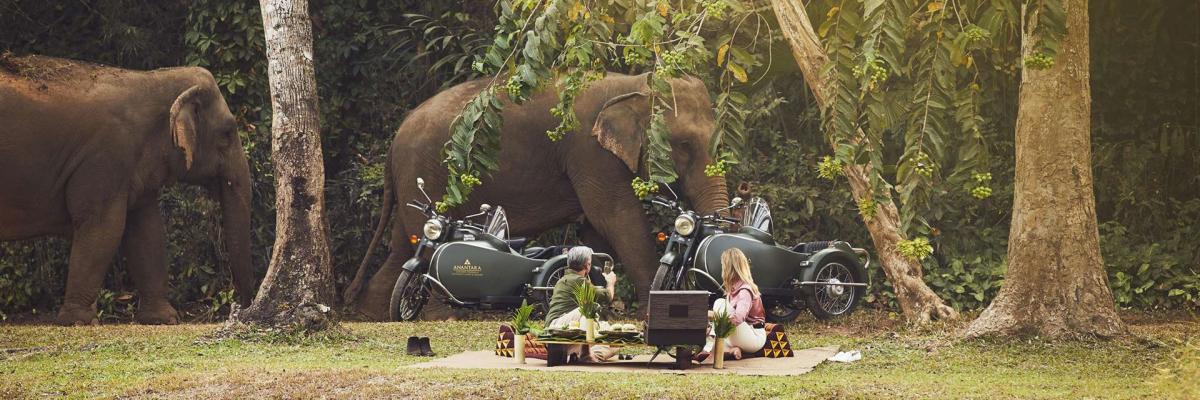 Anantara Golden Triangle Elephant Camp & Resort luxe hotel deals